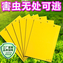 ���p��ճ�x�S���T�x����@�����w�x�E������15*10�ߴ�羳�S��