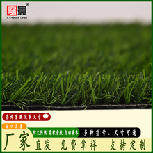 �����ƺ�����z�׃��@�WУ�و�չ�d��Y����|�����ƺ�b��쾰