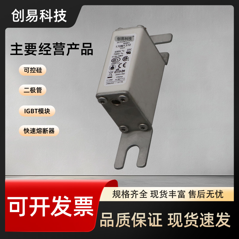 熔断器170M1318 170M1319 170M1320 170M1321 170M1322伊顿170M