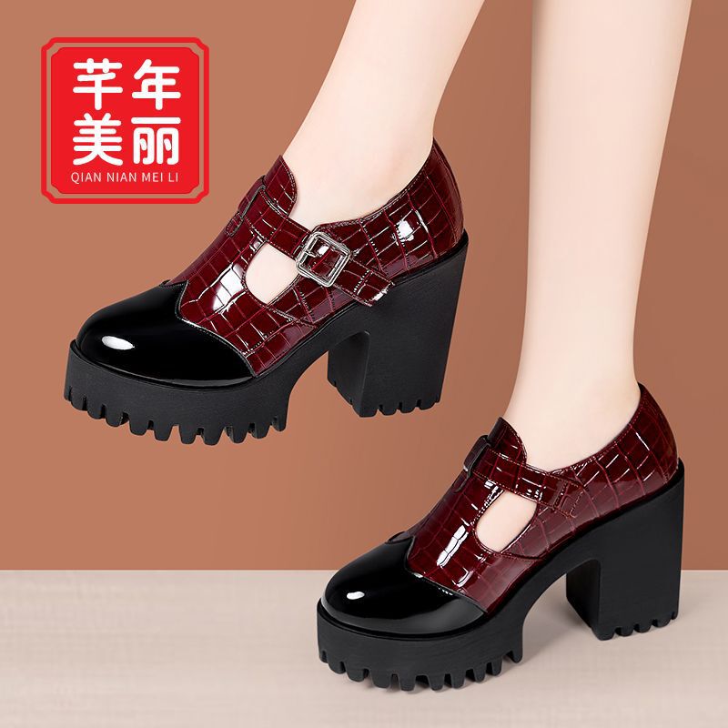 Chunky Heel Patent Leather Deep-Cut Single Shoes for Women, 2026 Autumn New Style, Thick-Soled, Soft-Soled, Comfortable Work Shoes, Large Size, Round-Toe Leather Shoes Chunky Heel Patent Leather Deep-Cut Single Shoes for Women, 2026 Autumn New Style, Thick-Soled, Soft-Soled, Comfortable Work Shoes, Large Size, Round-Toe Leather Shoes