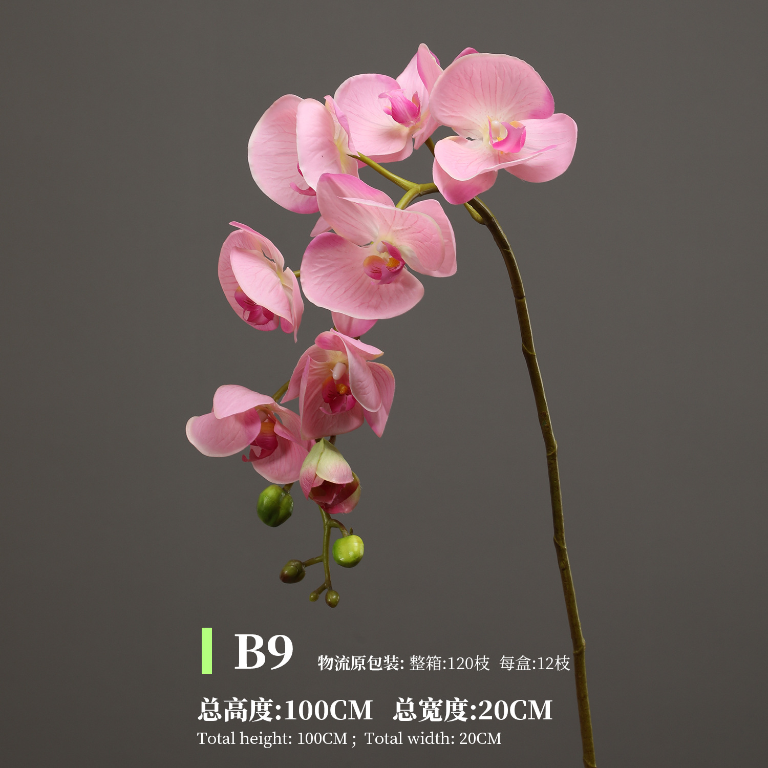 딥 파우더 B9