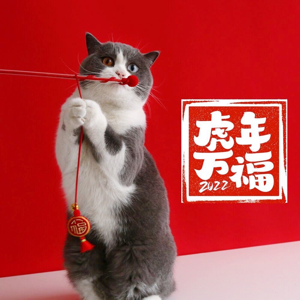 Mascota gato mi Año Nuevo bordado fu carácter borla linterna divertido gato palo de sonido Campana de Entrenamiento Interactivo Auto-Hola JUGUETE varilla