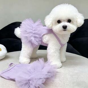 �羳�ļ����ﱳ�����һ�����ȹ����؈������B��ȹС��Ȯ����