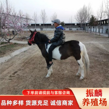 �S�����l�����R�T���R�����R�����RС�R�x �^�p�R ���U���R