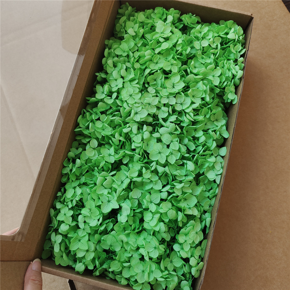 Flor eterna Hortensia Anna pequeña hoja flor seca flor real árbol de Navidad ventilador hecho a mano ramo DIY material paquete flor