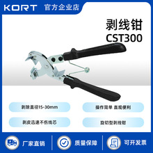 늹߉CST300Q๦ܸ߉|ƤքӄQ