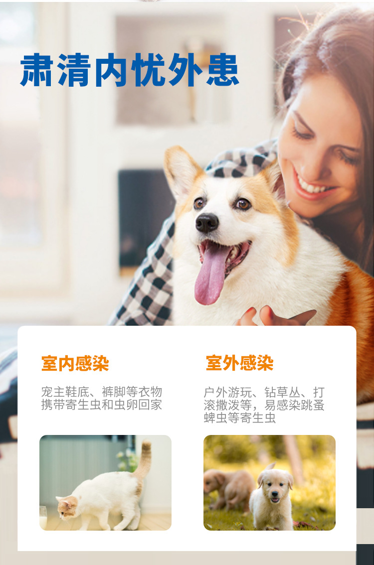 宠康源—非泼罗尼滴剂—750祥情页1