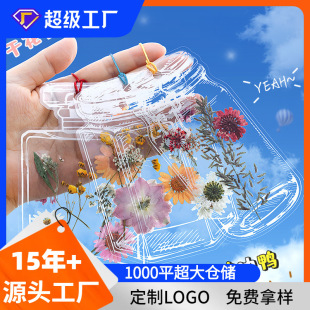 �ɻ������ֹ�diy����͸���˱����Ƶ��z����ֲ��Ѻ���Nƿ��С�W��