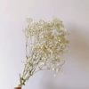 Paired with a small bunch of baby's breath (need to be photographed together with in-store products)