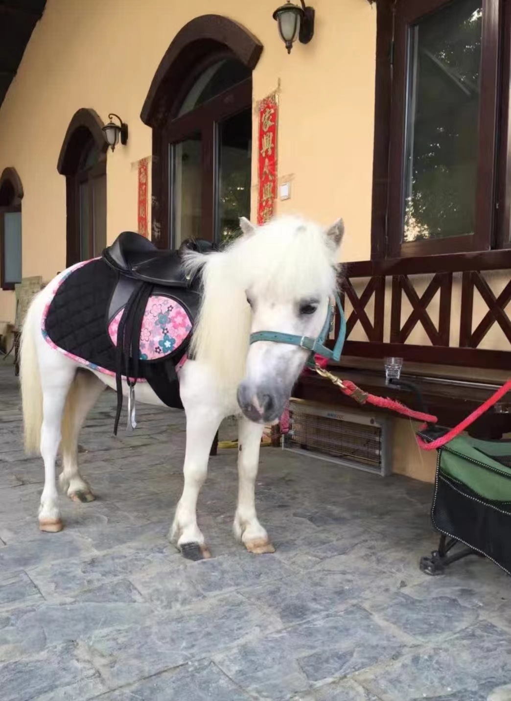 微信图片_20230429203432