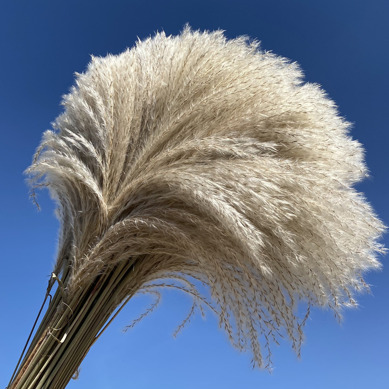 微信图片_202111181720326