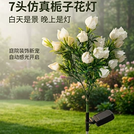 太阳能灯;景观灯;草坪灯