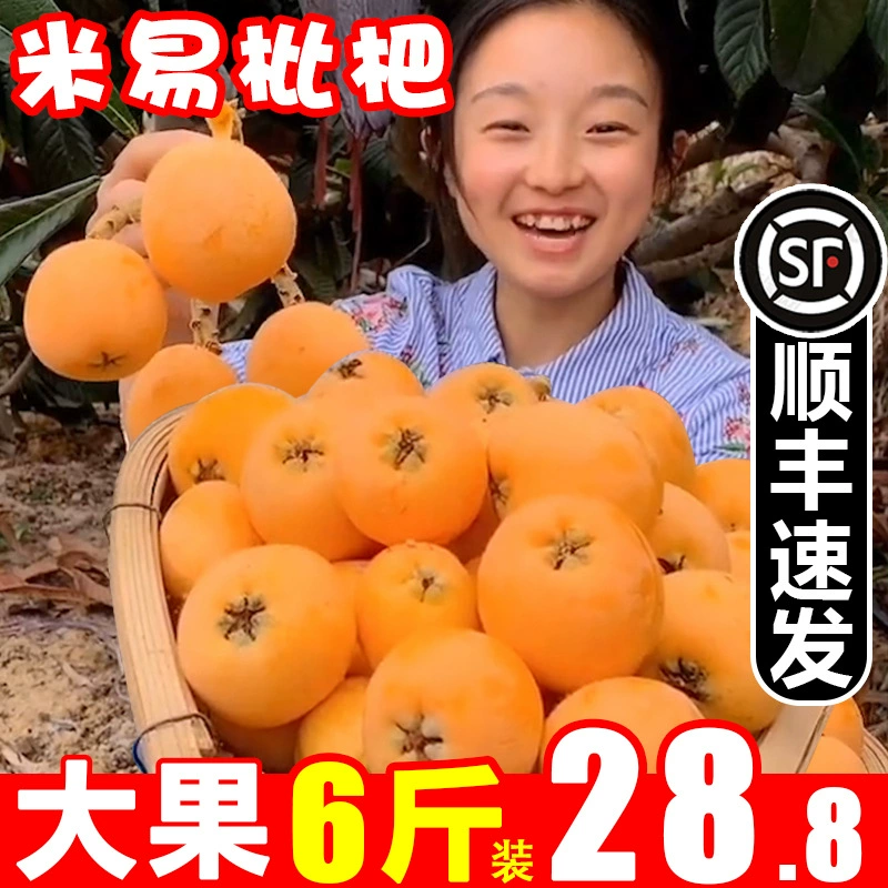 Свежие сезонные фрукты из Мии, Паньчжихуа, Сычуань: локваты, крупные плоды, подходящие для беременных, пятизвездочные локваты.