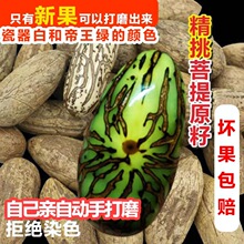 千眼菩提子原籽原料新果天然绿色大果手串手把件文玩星月菩提