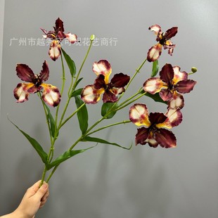 ���Sβ�m�����滨��c��ˇܛ�b����·�������`�Ӑ����z��ꐲ���