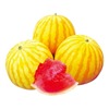 华骏 Golden Kirin Watermelon Seed Yellow Pymaline Red Field Seed Seed Gift Model Magic Fruit Super Sweet Fruit Seed