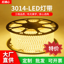 led灯带3014高亮家用220V120珠108珠高压防水批发柔性软灯条