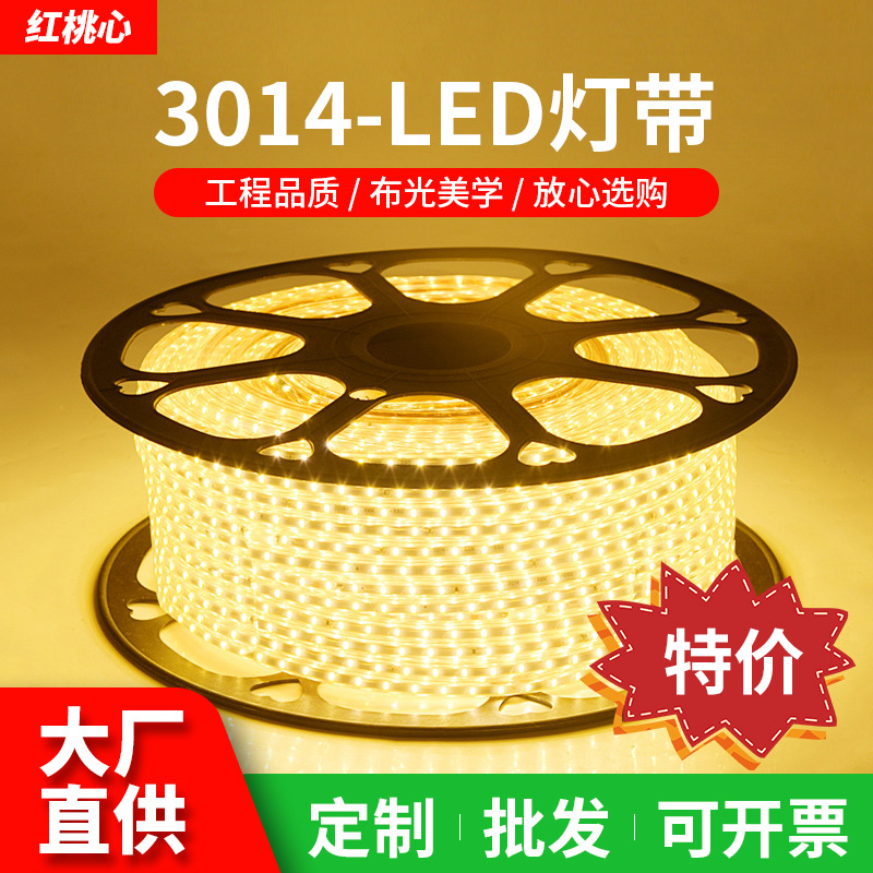 led灯带3014高亮家用220V120珠108珠高压防水批发柔性软灯条