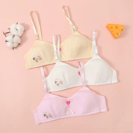 少女文胸;裹胸、抹胸;女士三角裤