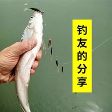 假饵串钩路亚钓组鲈鱼桂鱼翘嘴鳜鱼黑鱼软饵鱼钩铅头钩串钩供应链