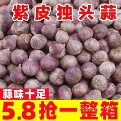 云南独头蒜5斤大蒜头新鲜紫皮独蒜湿大蒜红珍珠干蒜蔬菜整箱散装
