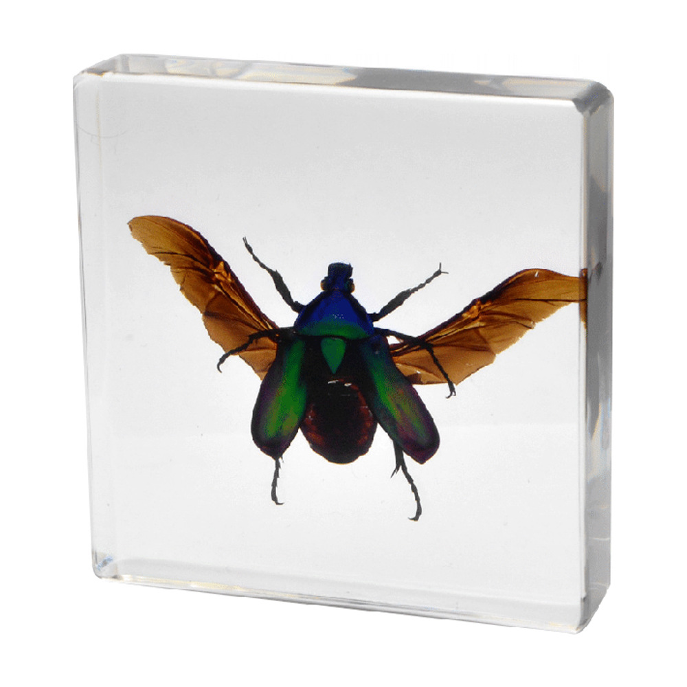 날개를 펼친 7.5CM 에메랄드 황금 거북이