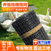小孔土工格栅养殖鸡鸭围网玉米圈网防护圈地网定制规格隔离防护网