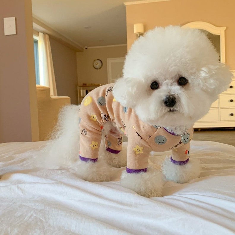 秋冬季狗狗衣服中小型犬四脚包肚衣防着凉保暖空调服宠物家居服|undefined