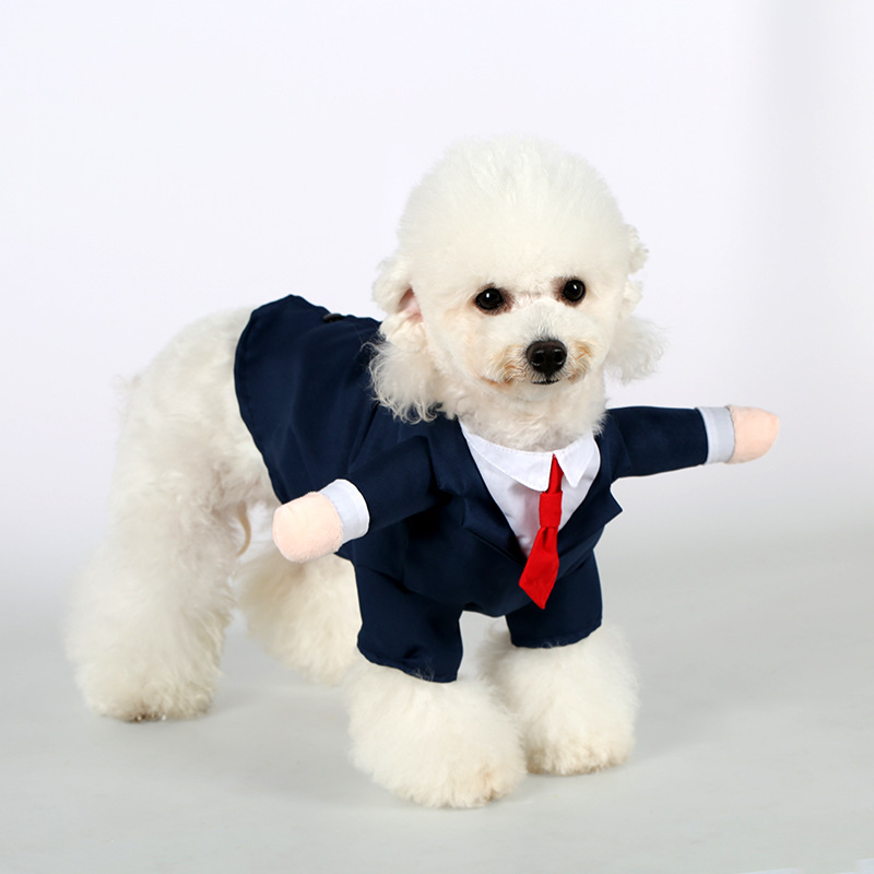 Formal Simple Style Polyester Color Block Pet Clothing display picture 3