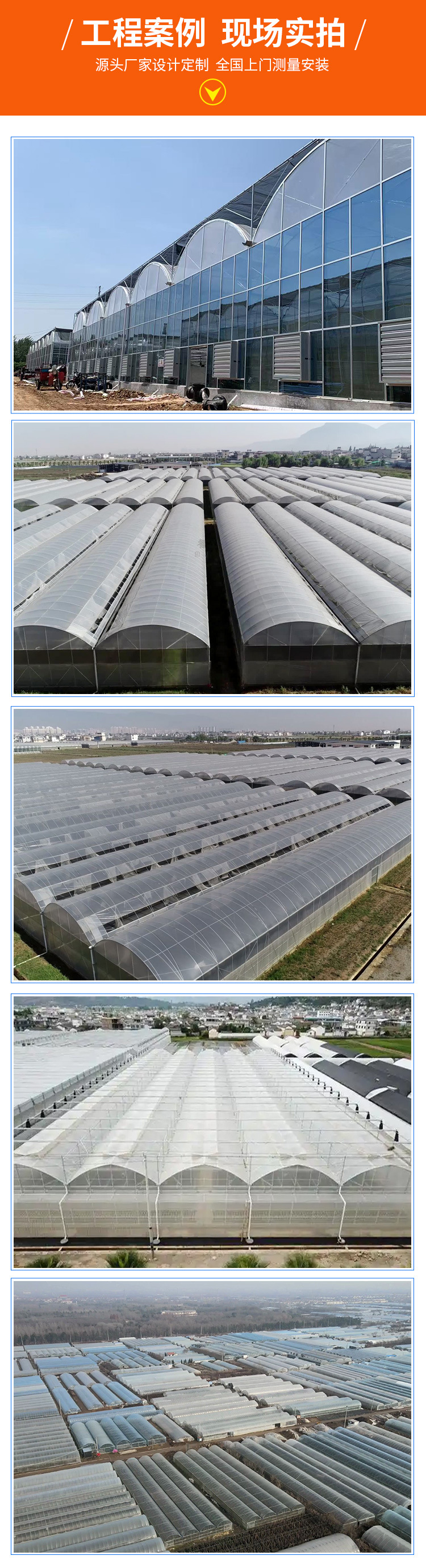 连栋薄膜温室_06.jpg