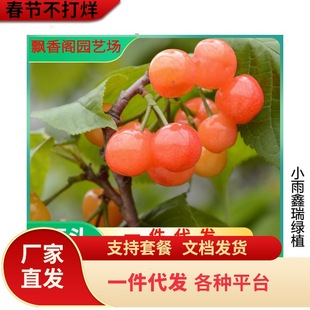 ������� �R������� ����Ҙ��� �޽ә����� ܇���Ә����ϱ����N