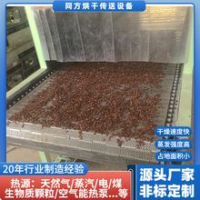 廠家供應小型鏈板食品干燥機 平板線瓜子花生干果熱風烘干機定制