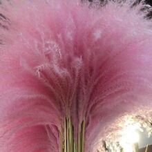 �ɻ��JȔ��Ȕ����ɫ��ɫ���ȵ�[���JȔ�{ɫ�n�L�r�КW�����W�L��