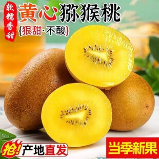 �Ĵ��S�īJ�����殐������������Fժ�������ЋD���rˮ��������]