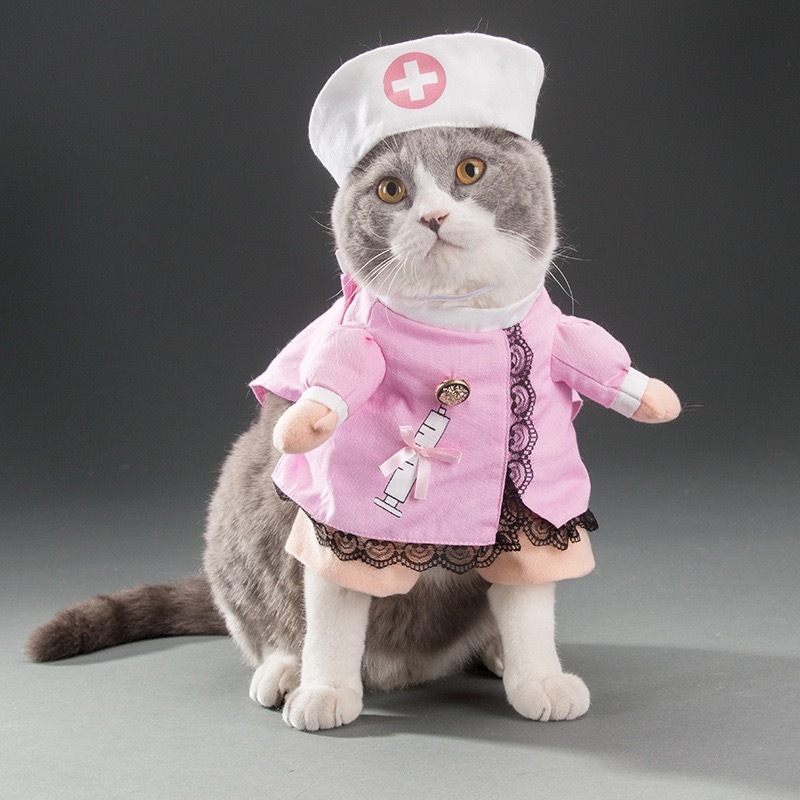 犬と猫の面白い服、面白いナイフを手にしたサモエド、かわいいビションフリーゼ、クリエイティブなペットのテディ、ファイティングドッグパロディー|undefined