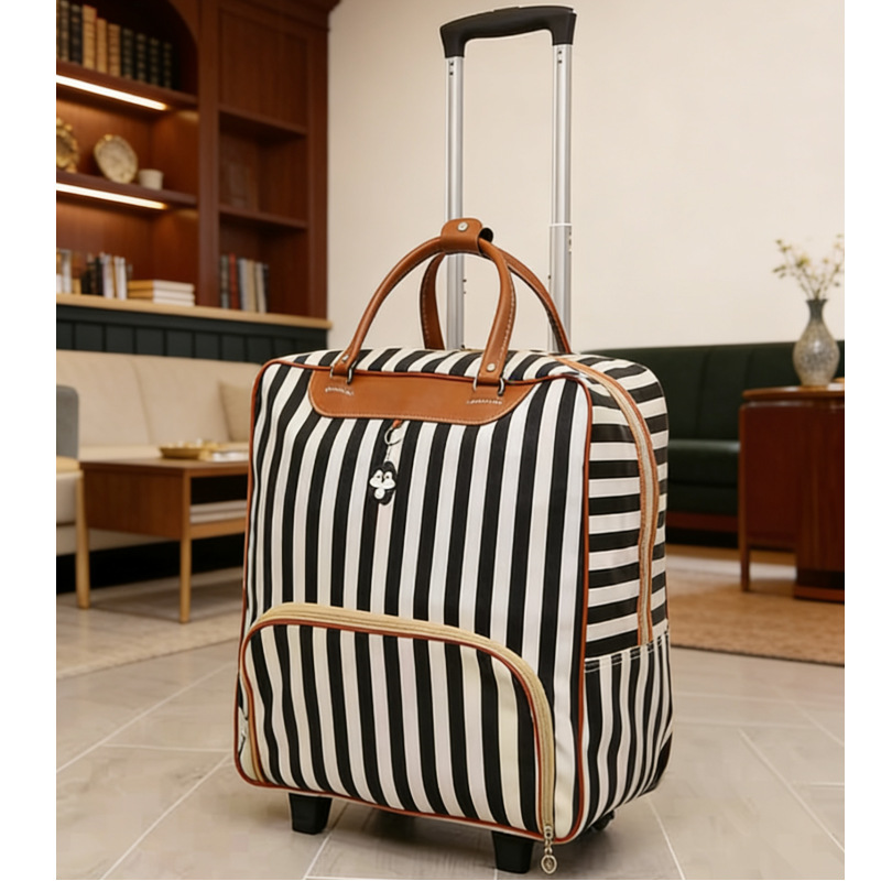 Big suitcase
