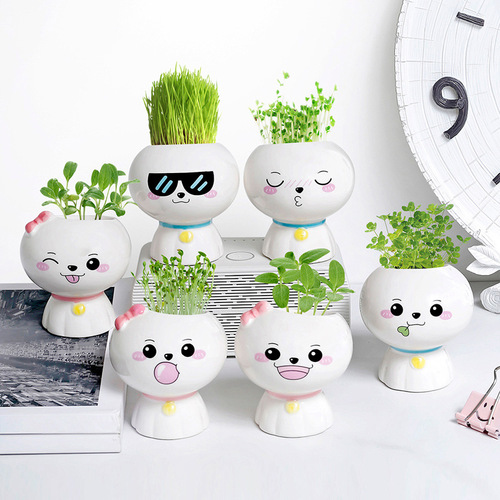 Creative micro-landscape small gifts, kindergarten birthday gifts, observing plant growth, small planting, primary school student prizes