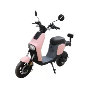 Fabrik İstehsalı Yeni Elektrikli Velosipedlər, Yetkin Şəhər Skuterləri