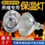 取暖加热猪用保温烤灯