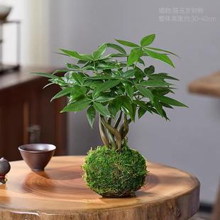 �lؔ��̦�\���������� �Gֲ�k���ҿ͏d�����b� ���^�׻�