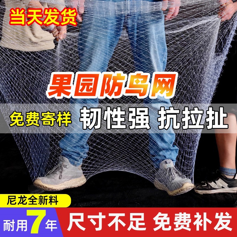 果树防乌网防鸟网果园窗户大棚涤纶樱桃树鱼塘尼龙线葡萄天网直销