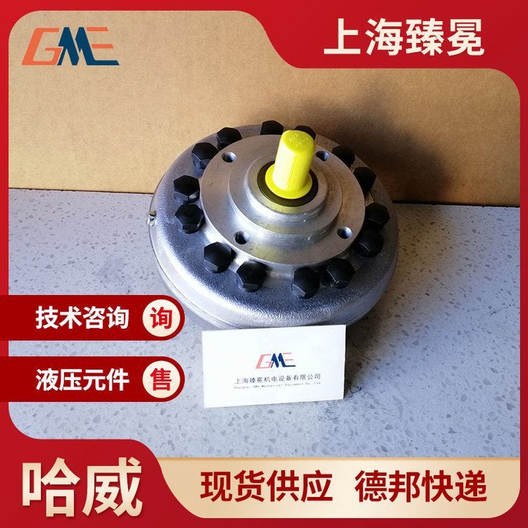 进口件HAWE哈威R系列RG系列RG 7 0-PYD径向柱塞泵