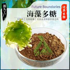 现货包邮 海藻提取物 海藻多糖 20%50%95% 量大价优 现货包邮