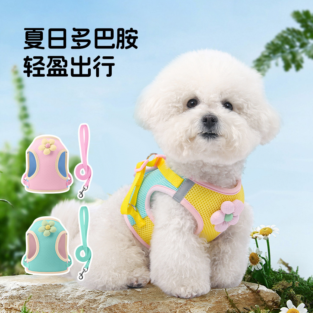 Dog leash dopamine contrasting color puppy chest and back Bichon…