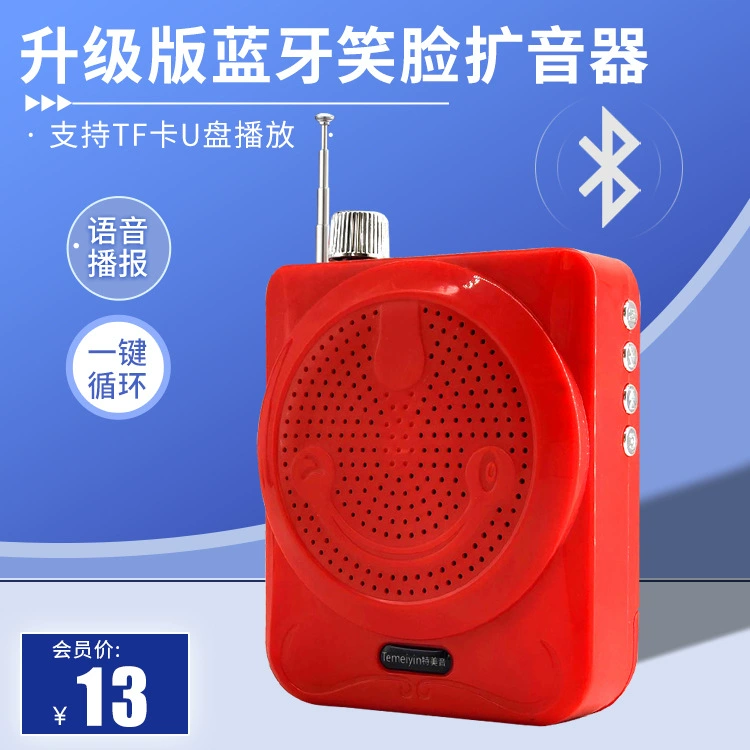 Temei Sound 301 Смайлик Пчела Громкоговоритель Тур Гид Талия Висит Обучение Беспроводной Высокая Мощность Bluetooth Маленький Звук