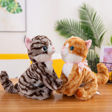 ����؈��С����������żС����������������Ů������Y��ɐ�