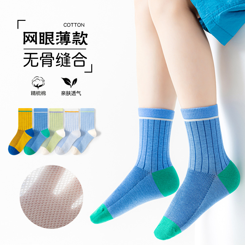 ZT34 단색 스트립