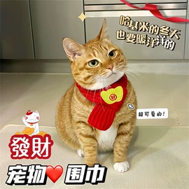 狗狗玩具;狗狗服装;狗狗牵引