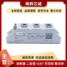 普通晶闸管;IGBT模块;其他二极管