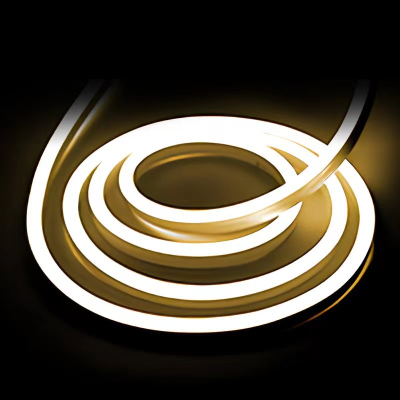 Tira de luces LED 12V RGB con control remoto, cambio de color, flexible, de silicona, impermeable, luz de neón, juego de 612